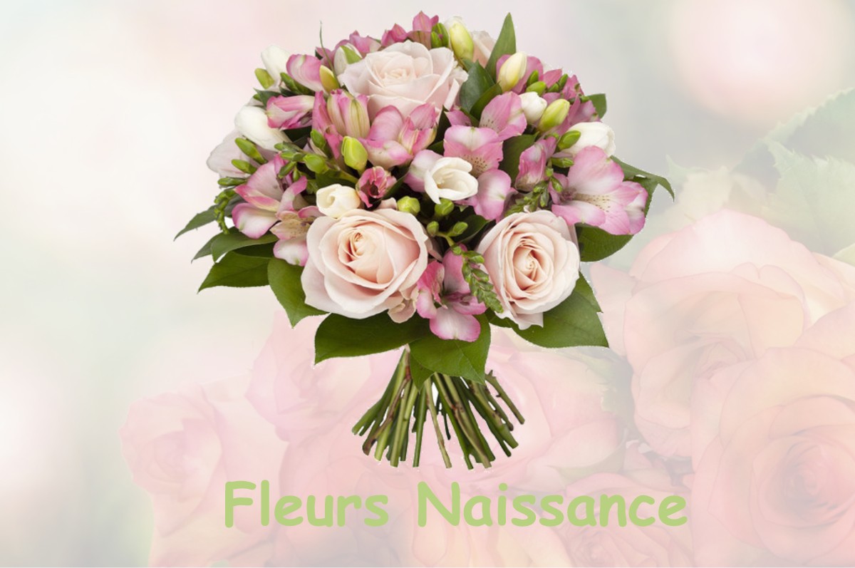 fleurs naissance LE-COUDRAY-SUR-THELLE