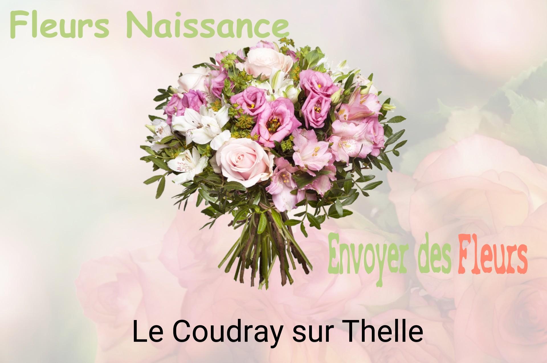 Bouquet de fleurs de naissance livré à Le Coudray-sur-Thelle